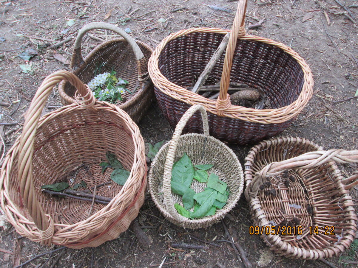 Forest school